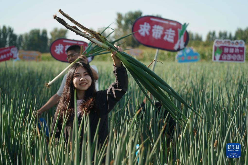 巴黎人现金在线