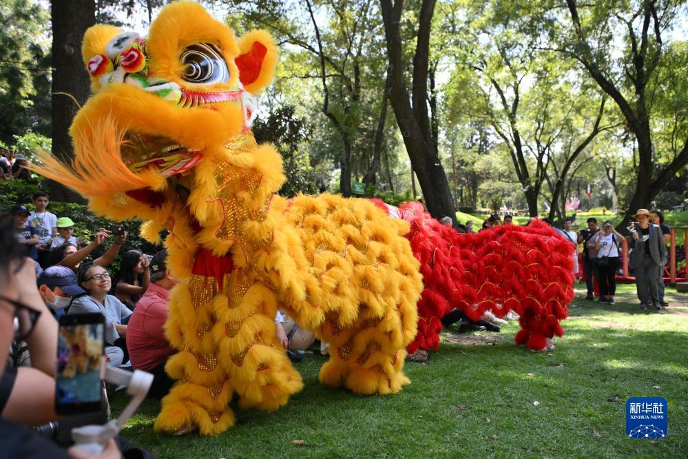 乐虎国际下载